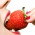 Strawberries are a great mouth-friendly summertime treat!