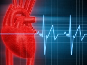 Researchers have found a possible link between oral bacteria and heart disease.