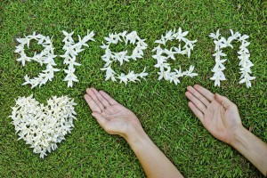 Delta Dental of Arizona is taking its love for all things green a step further: We're taking steps to reduce waste and lower costs by increasing our paperless offerings. Find out how you can help!